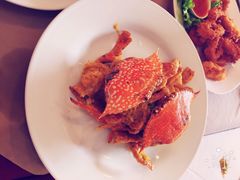 -Red Lobster