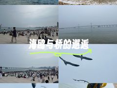 -星海广场