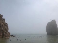 -海驴岛(荣成市)