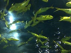 -福州罗源湾海洋世界旅游区