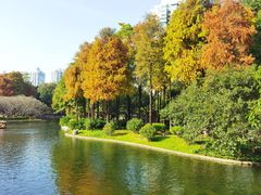 -晓港公园