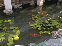 -上海方塔园