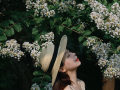 -杭州城北体育公园