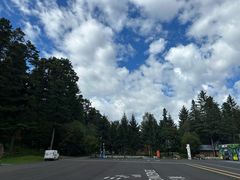 -五营红松林海景区