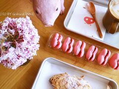 -WHEN PIGS FLY当猪飞