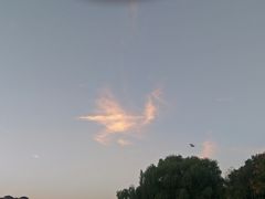 -昆山城市生态森林公园