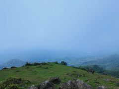-大姆山草场