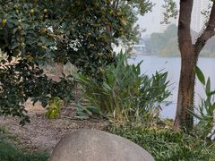 -白塘生态植物园