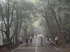-梧桐山风景名胜区