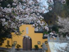 -鸡鸣寺
