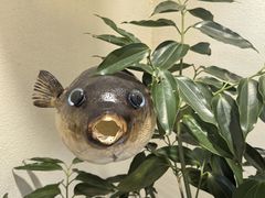 -天正河鲀·河豚亭(大连店)