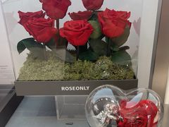 -ROSEONLY诺誓(广州K11店)