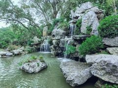 -东莞植物园