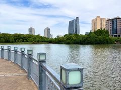 -黄兴公园