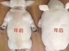 -胡同儿老北京涮肉