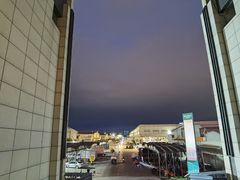-海吉星市场