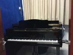 -弘智卉艺术教育/高端琴房(中央音乐学院店)