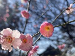 -北寺塔