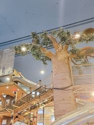 -卡通尼·Safari非洲探索乐园·生日会(金桥国际商业广场店)