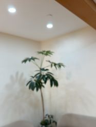 -HEYAN荷妍专业脱毛连锁机构