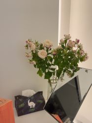 -苑苑vbeauty科技美容SPA