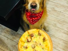 -百好乐宠物友好餐厅(朝外大街店)