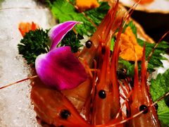 -古京·臻致料理(月湖店)