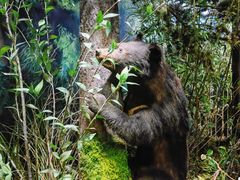 -陕西自然博物馆