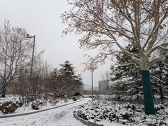 -滨河世纪广场公园