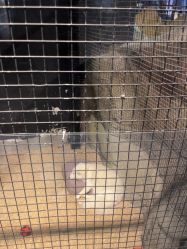 -酷嗒动物文化乐园(cutezoo西溪乐天城店)