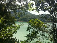 android_upload_pic-广州市流溪河国家森林公园