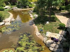 -武清南湖绿博园