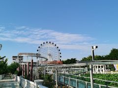 -百万葵园