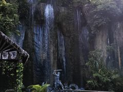 -西双版纳原始森林公园