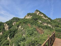 -大岭沟猕猴桃谷风景区