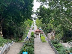 -青礁慈济宫