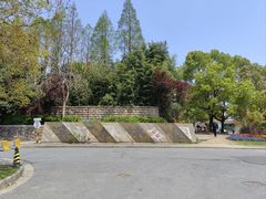 -上海滨江森林公园