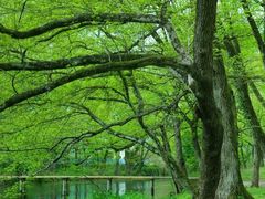 -西溪南古村落景区