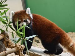 -海合安武汉极地海洋公园