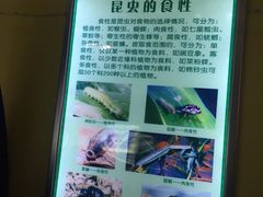 -上海昆虫博物馆