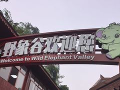-野象谷景区