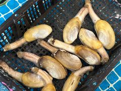 -王记新汕头肠粉炖汤