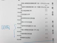 -申普宠物医院·心脏介入·心血管微创(总院)