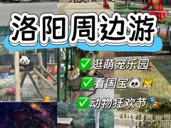 -栾川竹海野生动物园