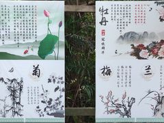 -青青世界