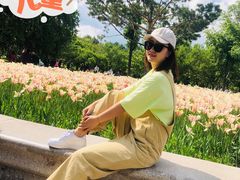 -长春公园(普阳街道)