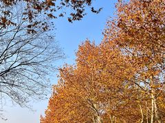 -宜兴龙背山森林公园