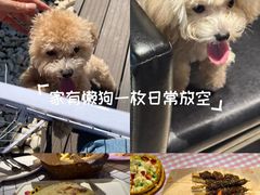 -百好乐宠物友好餐厅(朝外大街店)