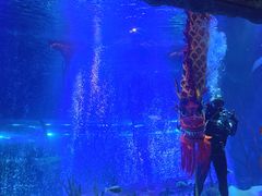 -沈阳海洋探索中心