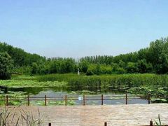 -合肥滨湖国家森林公园